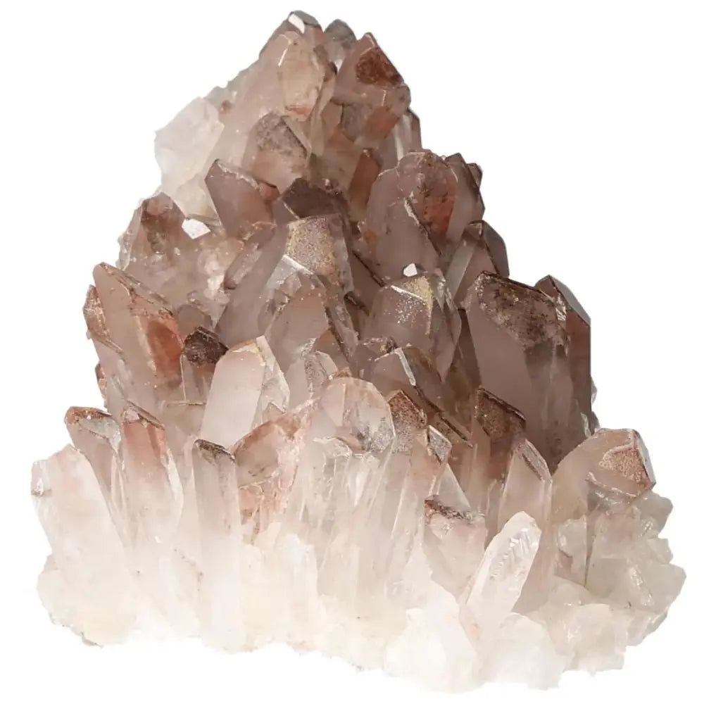 orbitvu|type:image2d