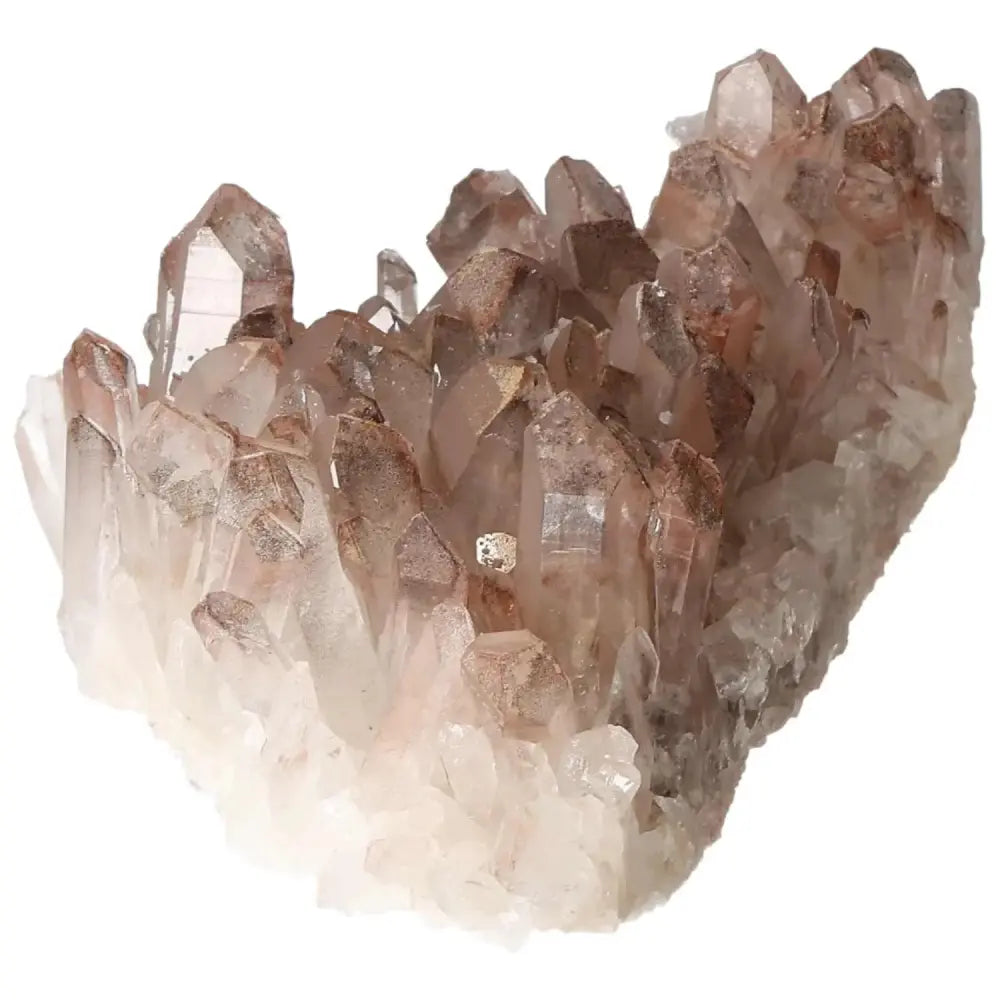 orbitvu|type:image2d