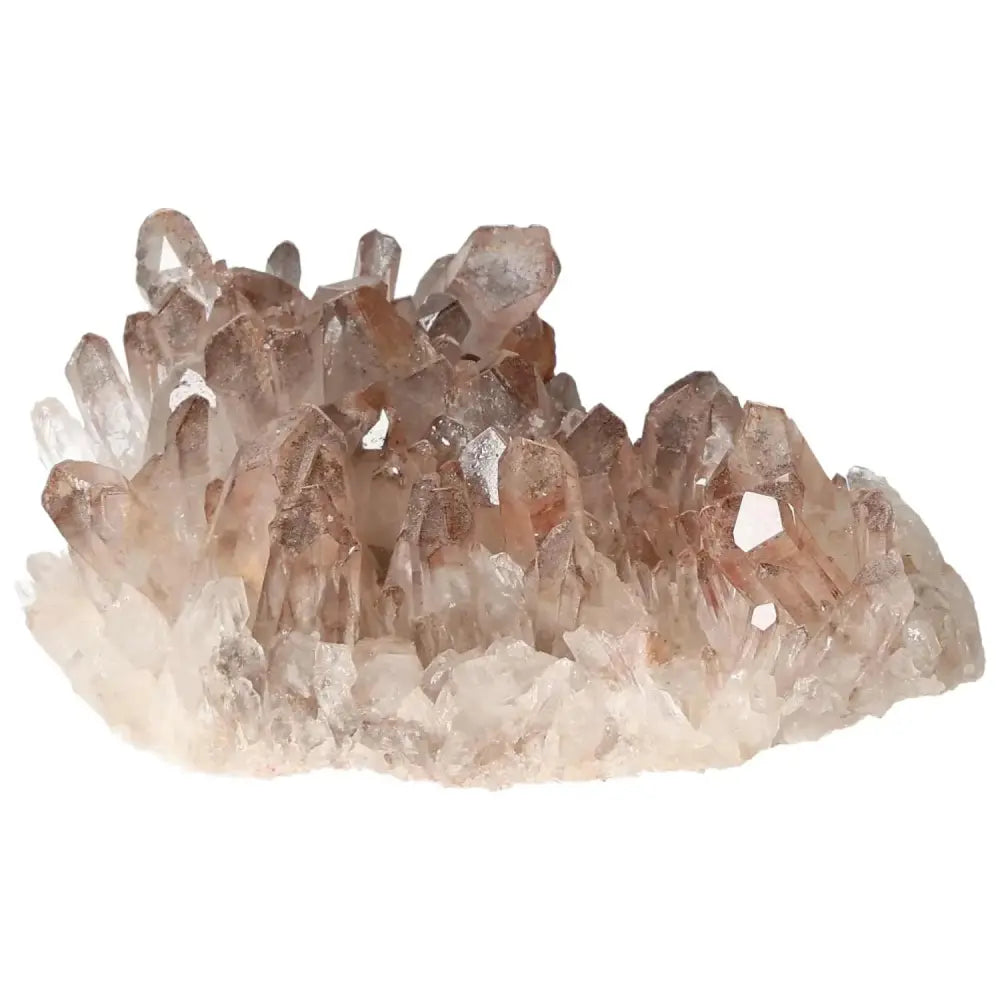 orbitvu|type:image2d