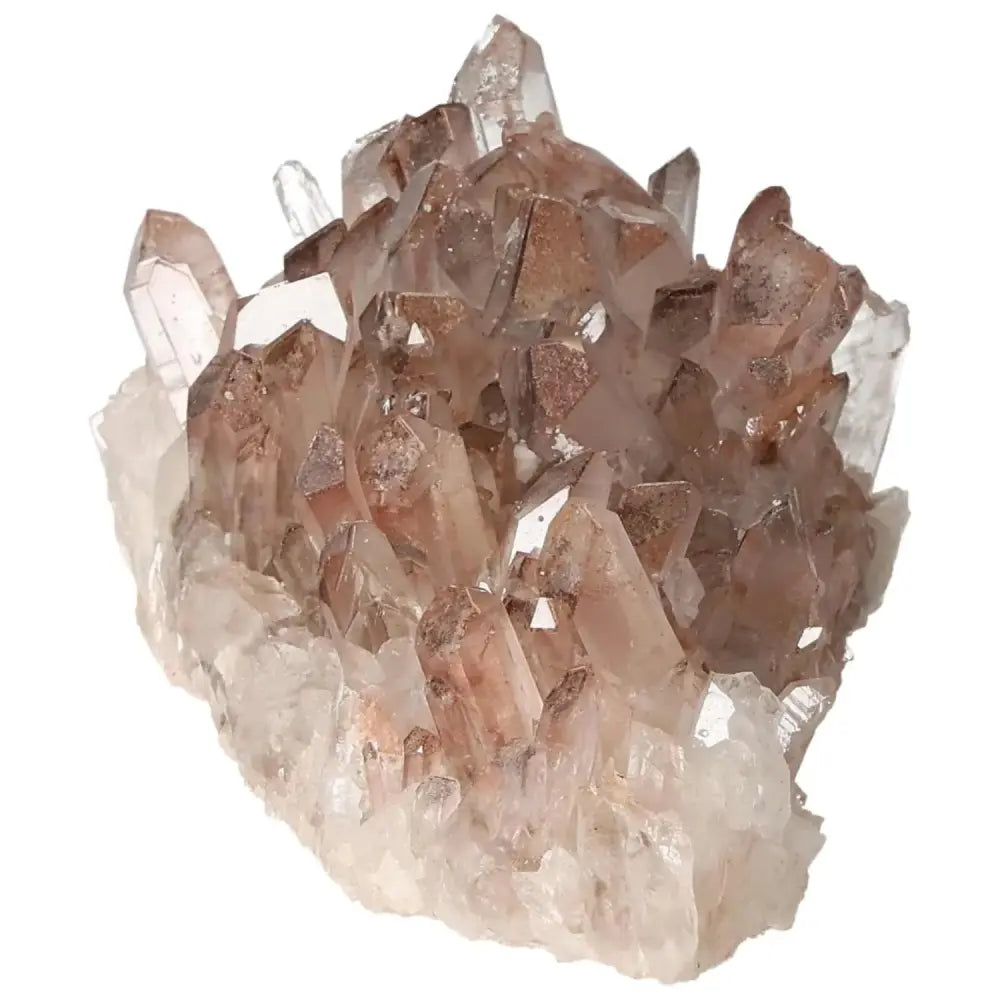 orbitvu|type:image2d