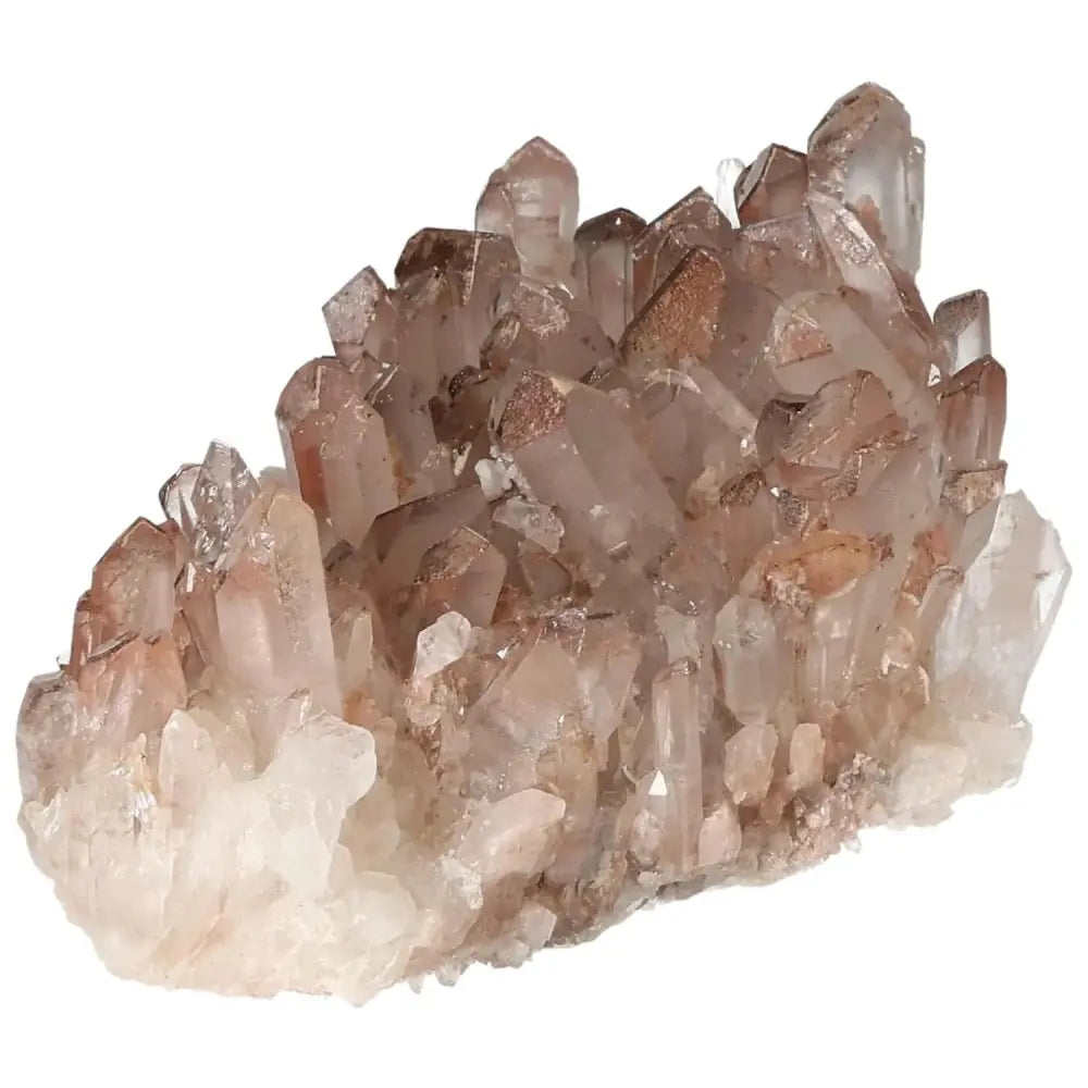 orbitvu|type:image2d