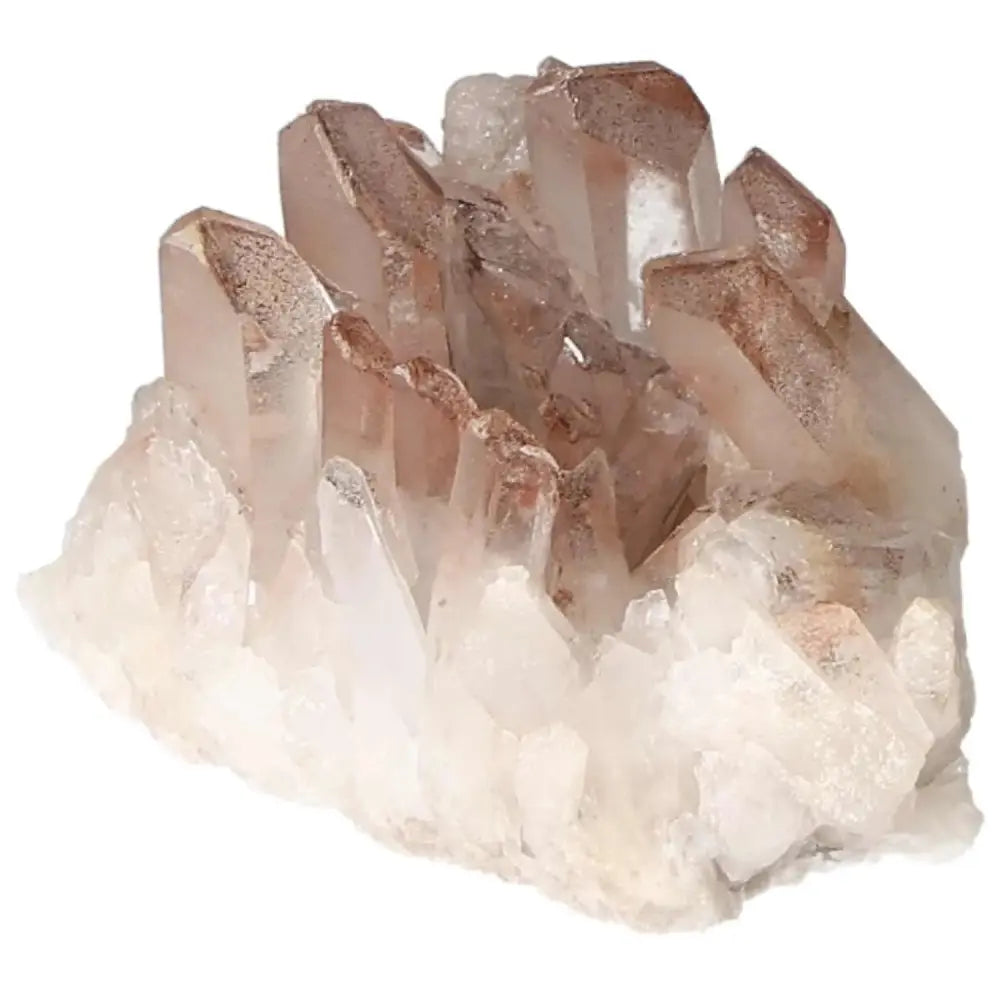 orbitvu|type:image2d