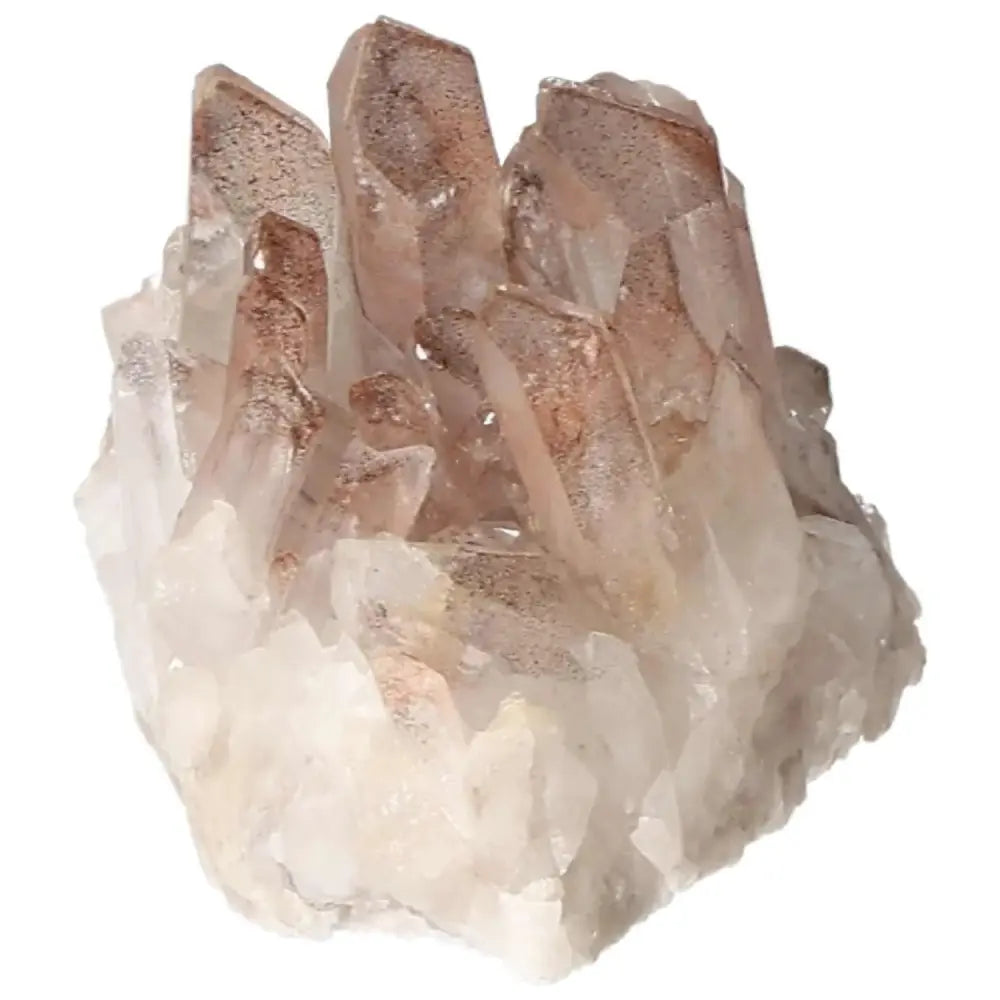 orbitvu|type:image2d