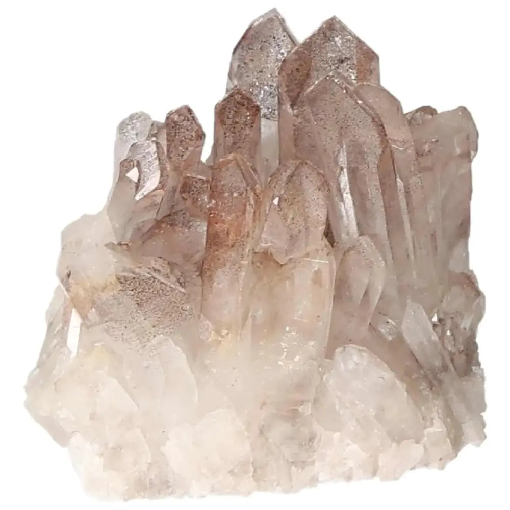 orbitvu|type:image2d