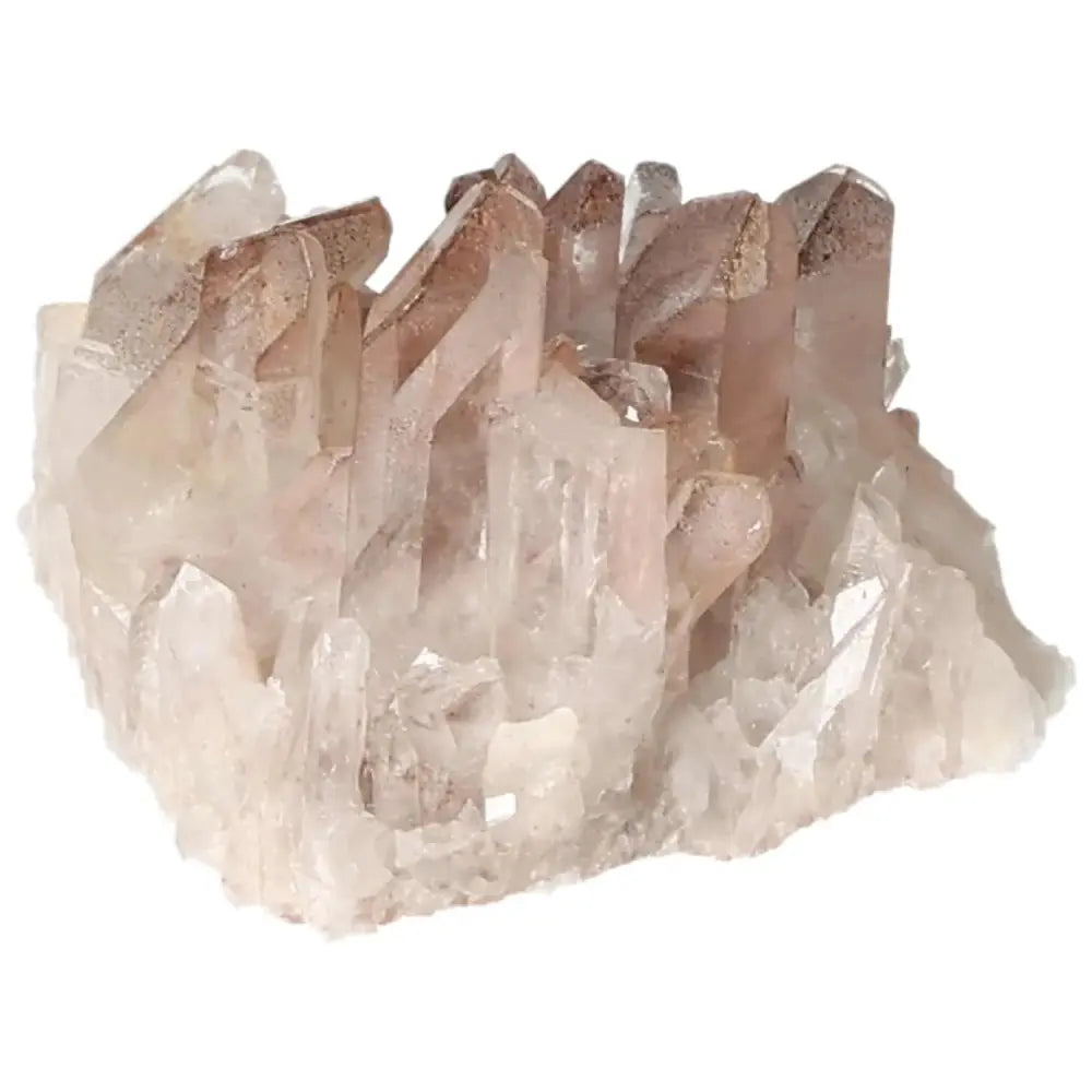 orbitvu|type:image2d