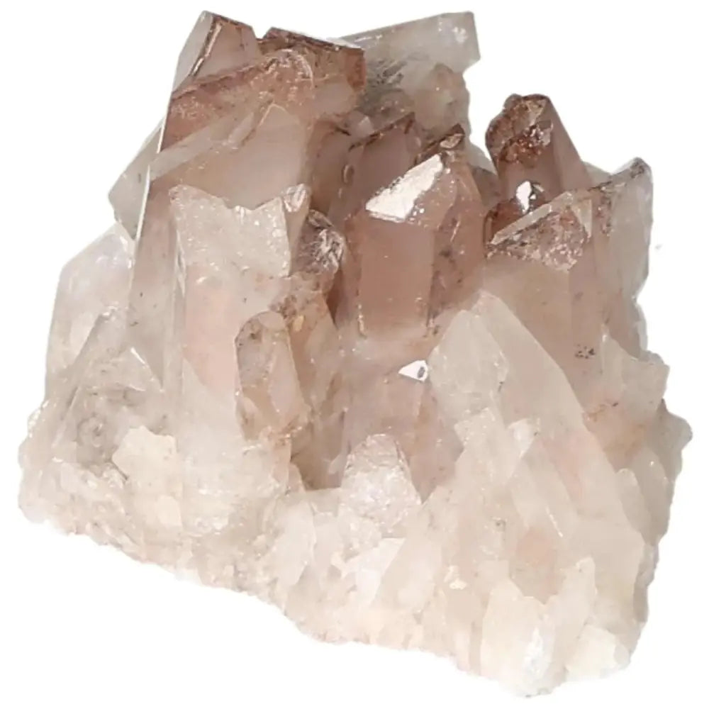 orbitvu|type:image2d