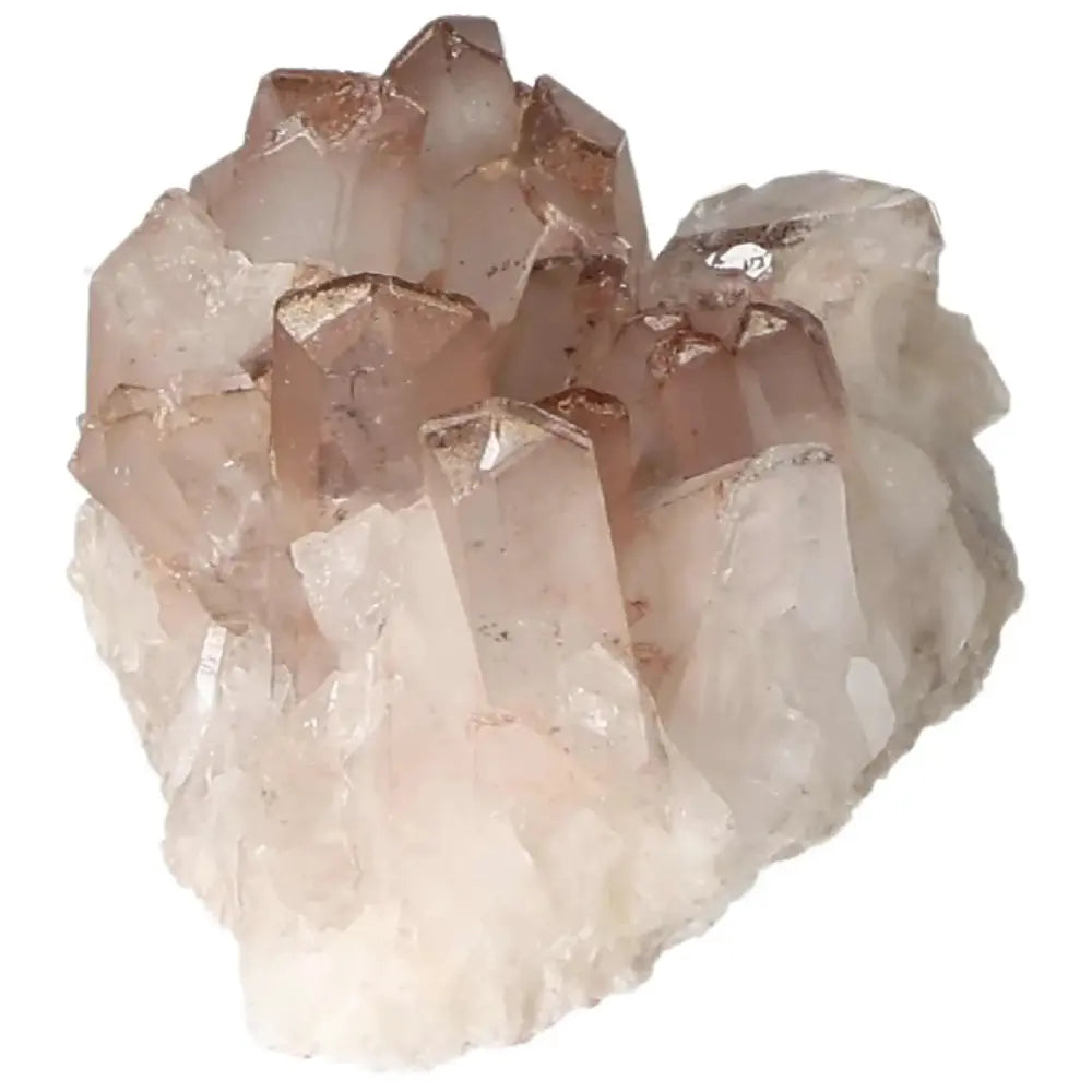 orbitvu|type:image2d