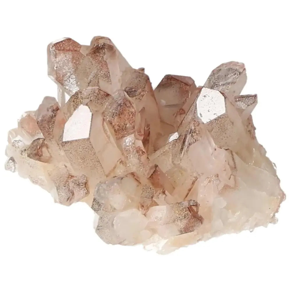 orbitvu|type:image2d