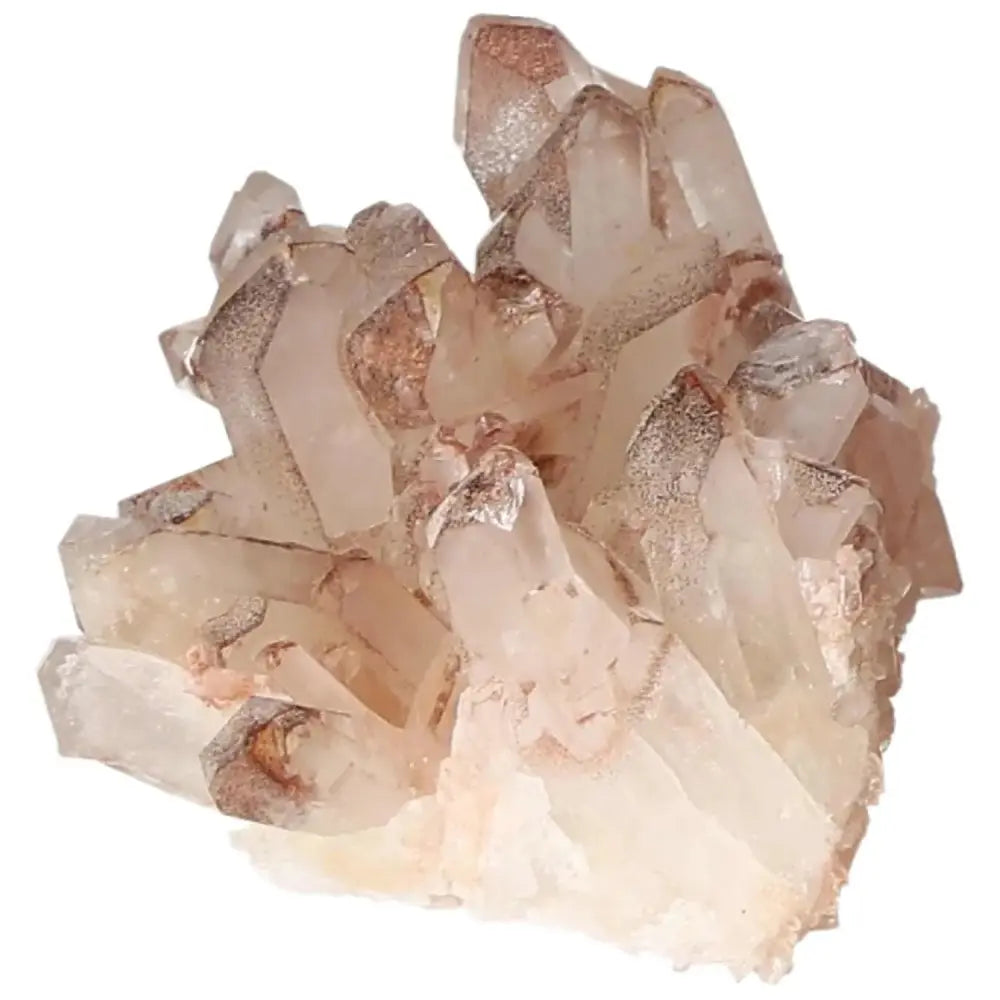 orbitvu|type:image2d