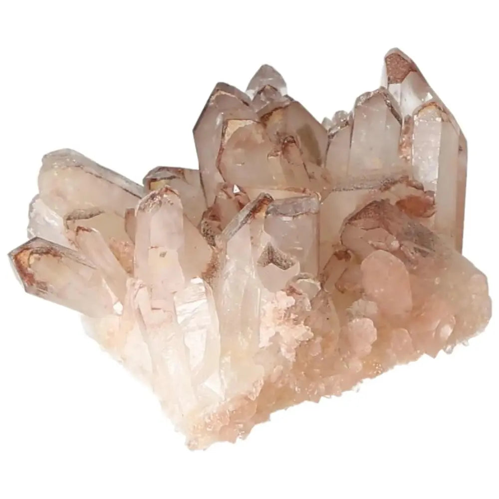 orbitvu|type:image2d