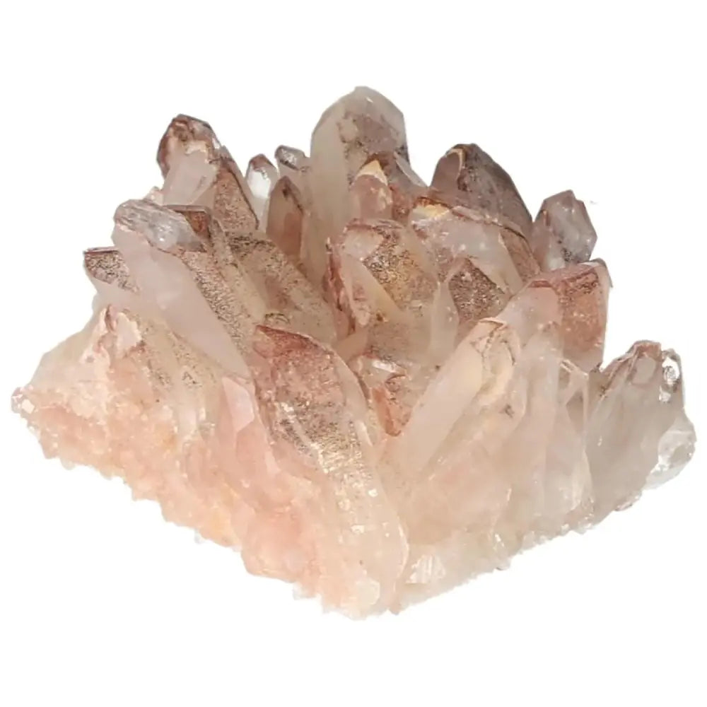 orbitvu|type:image2d