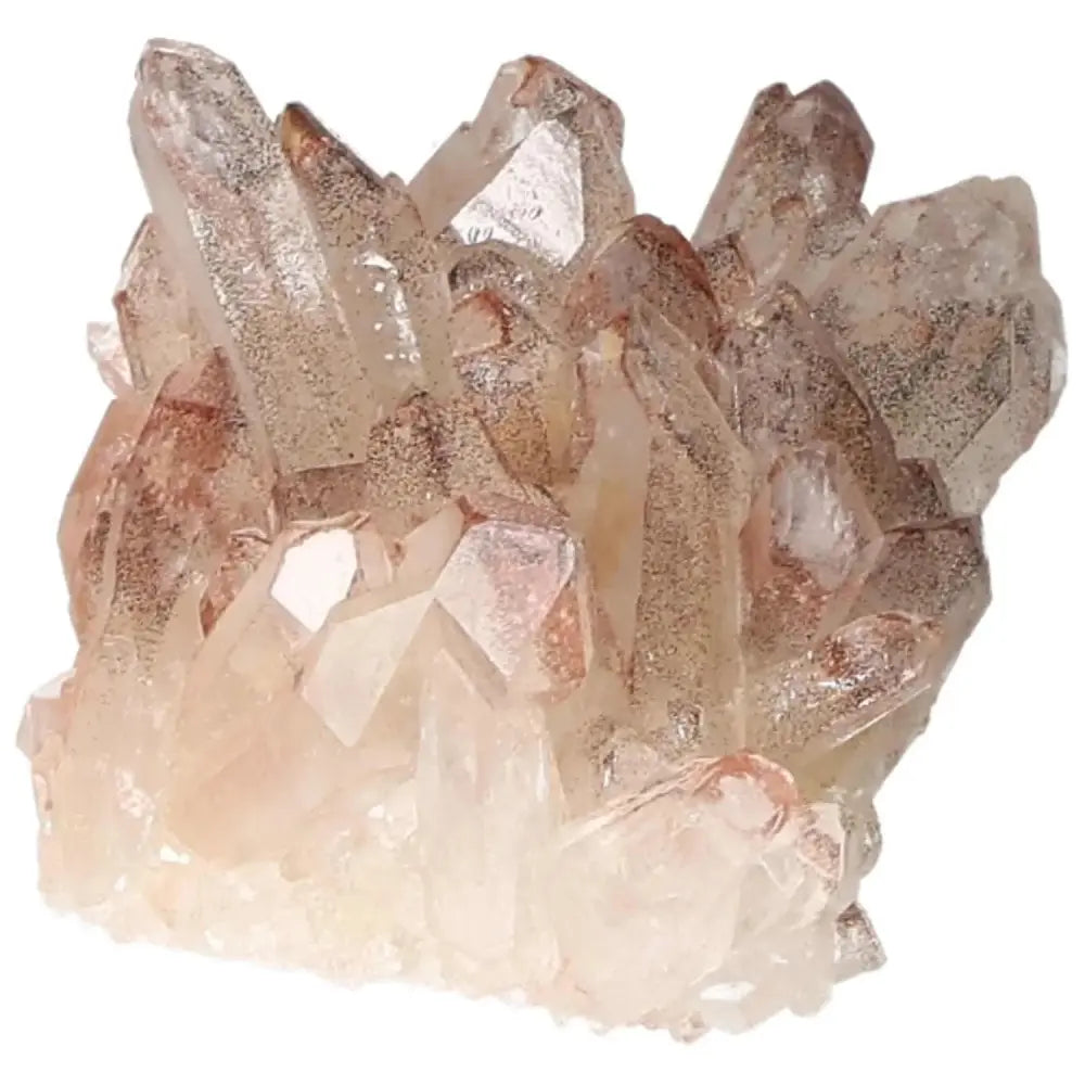 orbitvu|type:image2d