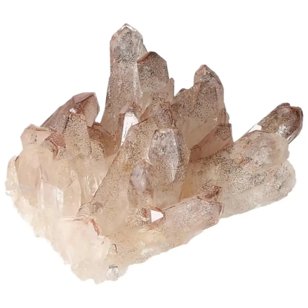 orbitvu|type:image2d