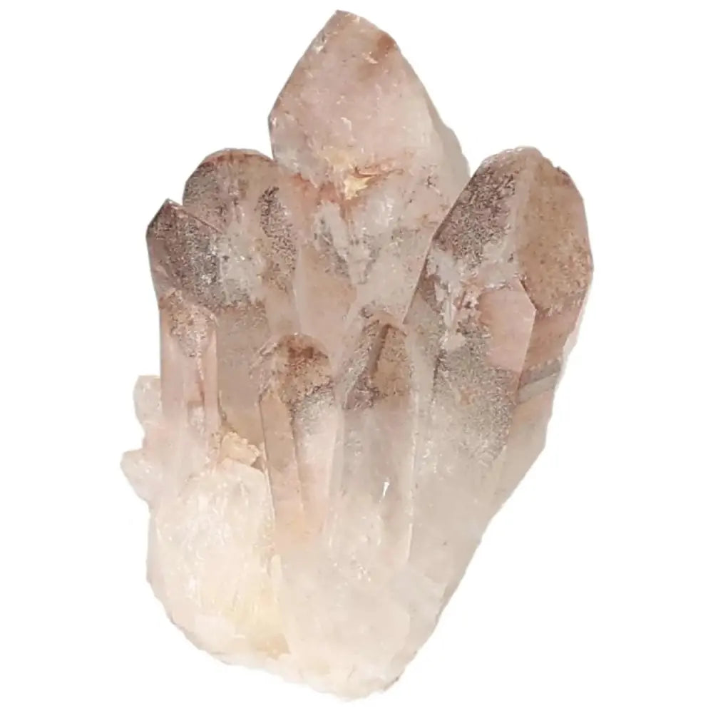 orbitvu|type:image2d