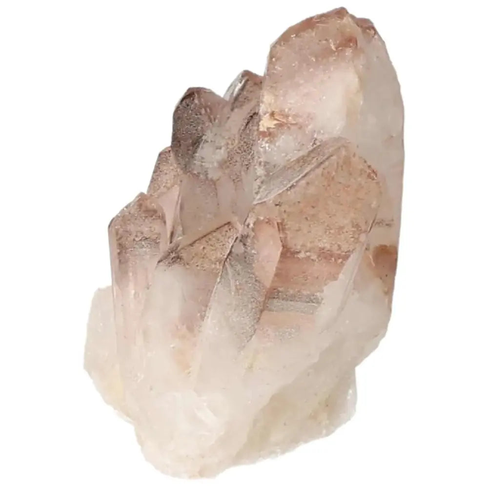 orbitvu|type:image2d