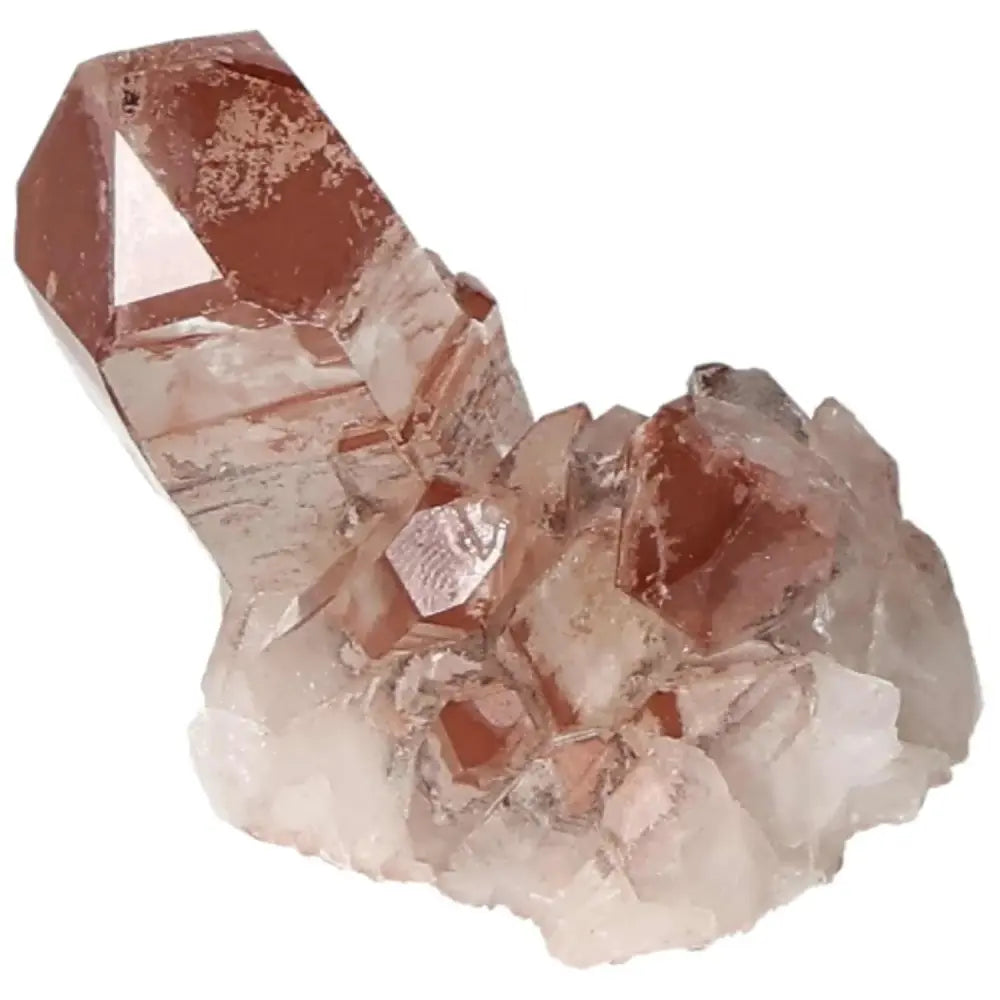 orbitvu|type:image2d