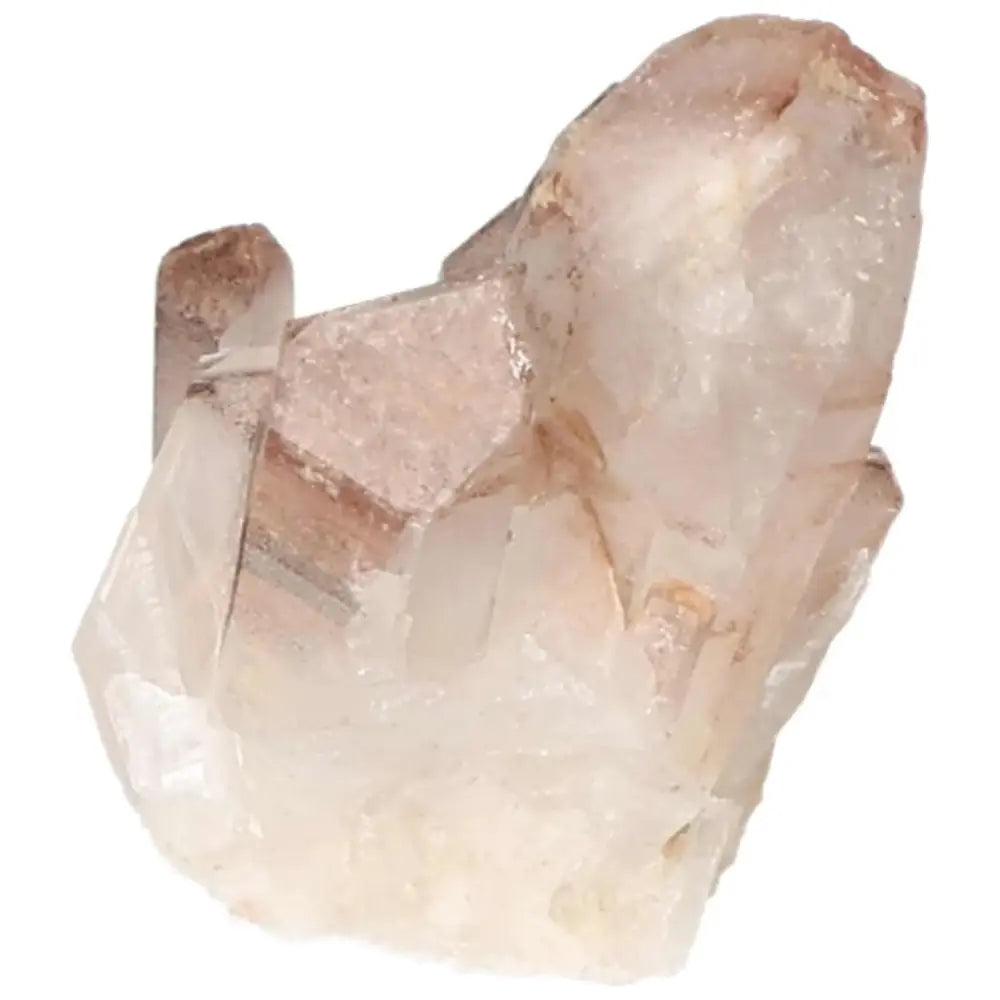 orbitvu|type:image2d