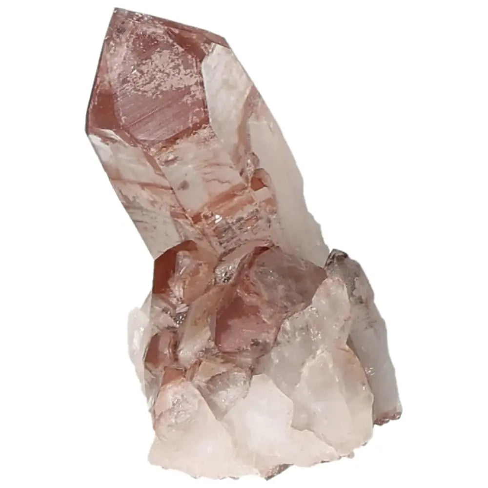 orbitvu|type:image2d