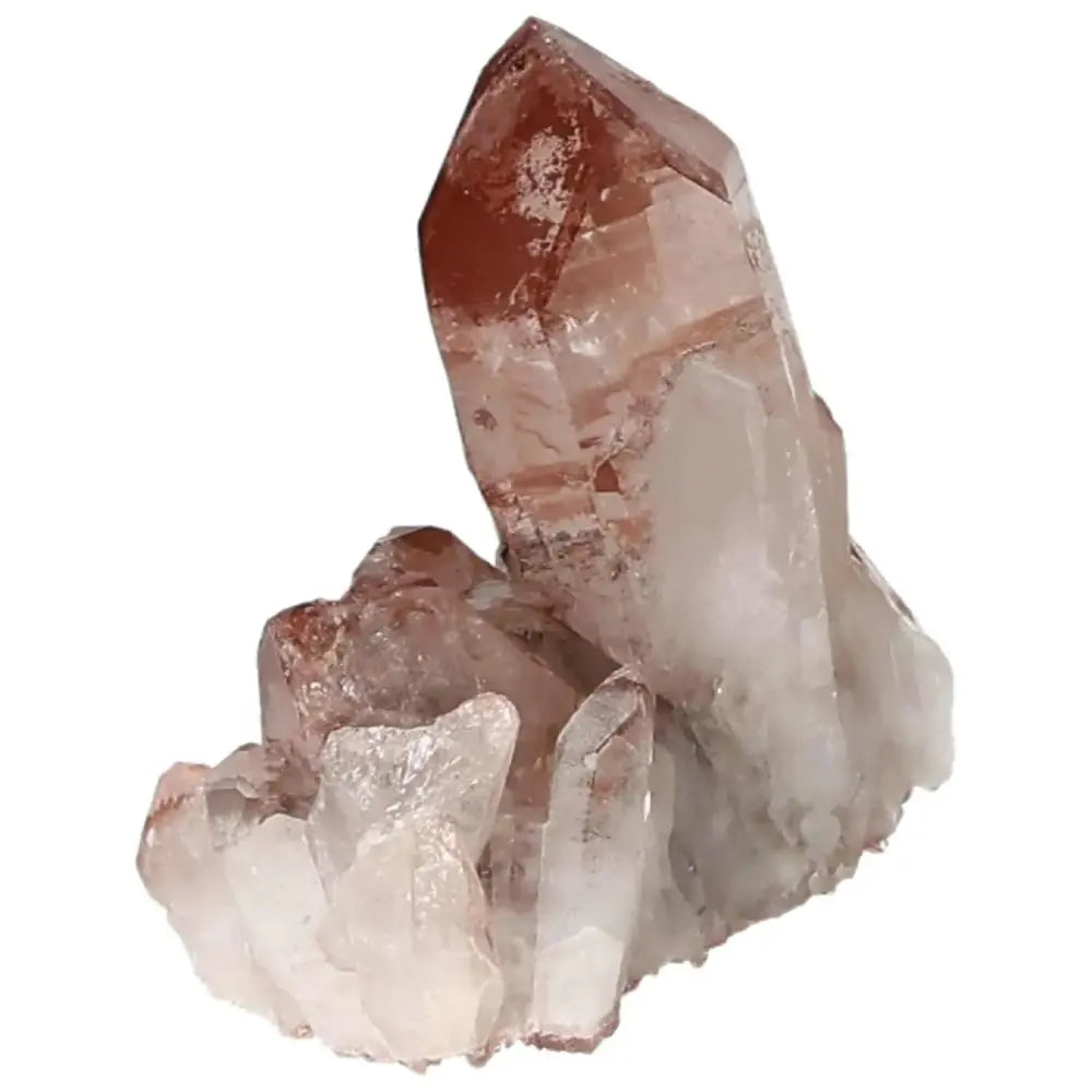 orbitvu|type:image2d