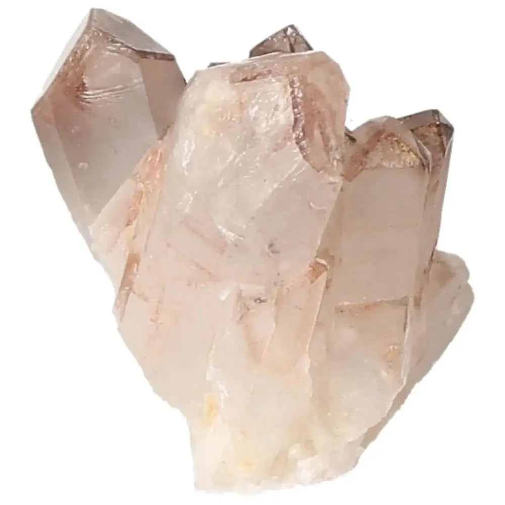 orbitvu|type:image2d