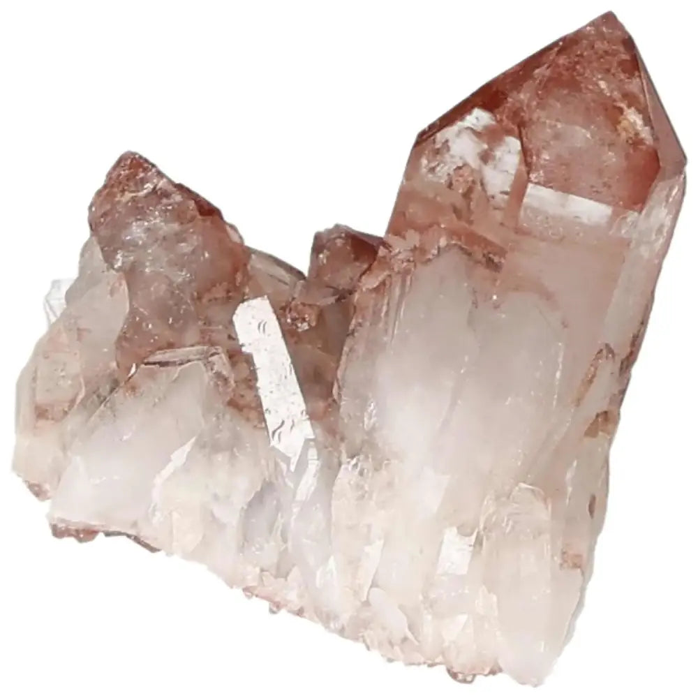 orbitvu|type:image2d