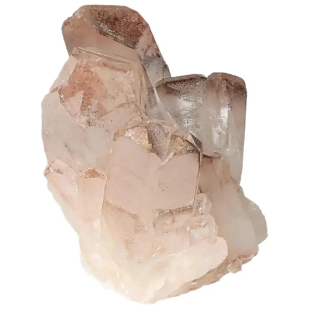 orbitvu|type:image2d