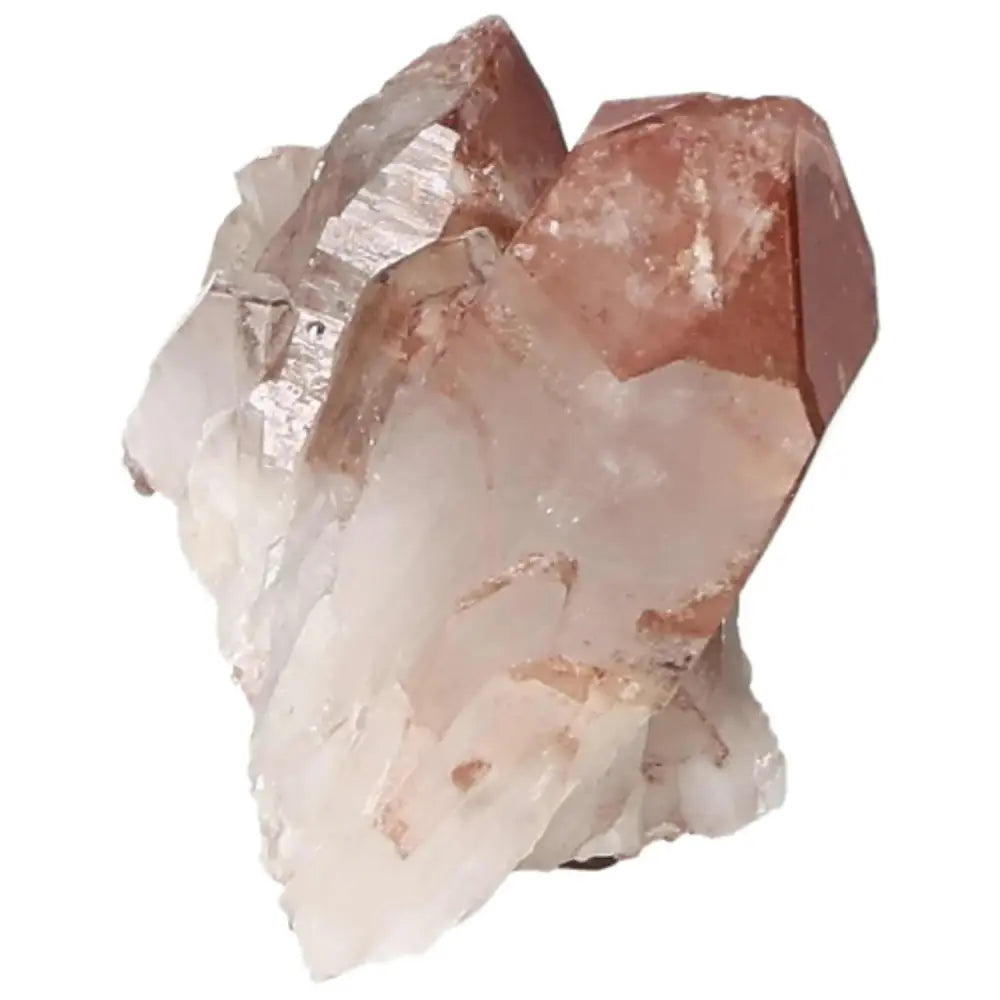 orbitvu|type:image2d