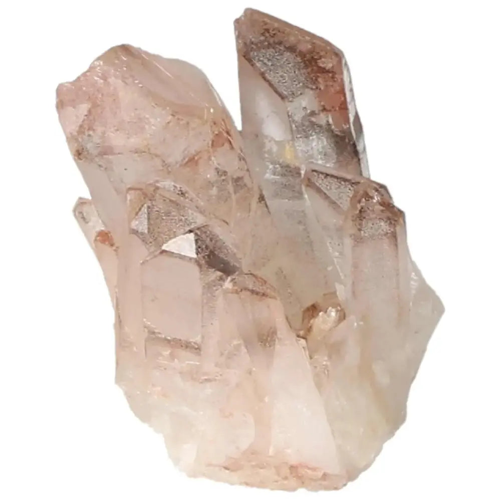 orbitvu|type:image2d