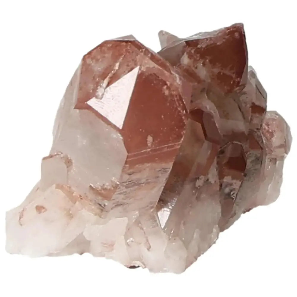 orbitvu|type:image2d