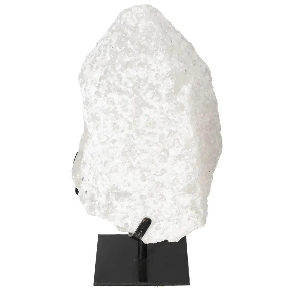 orbitvu|type:image2d