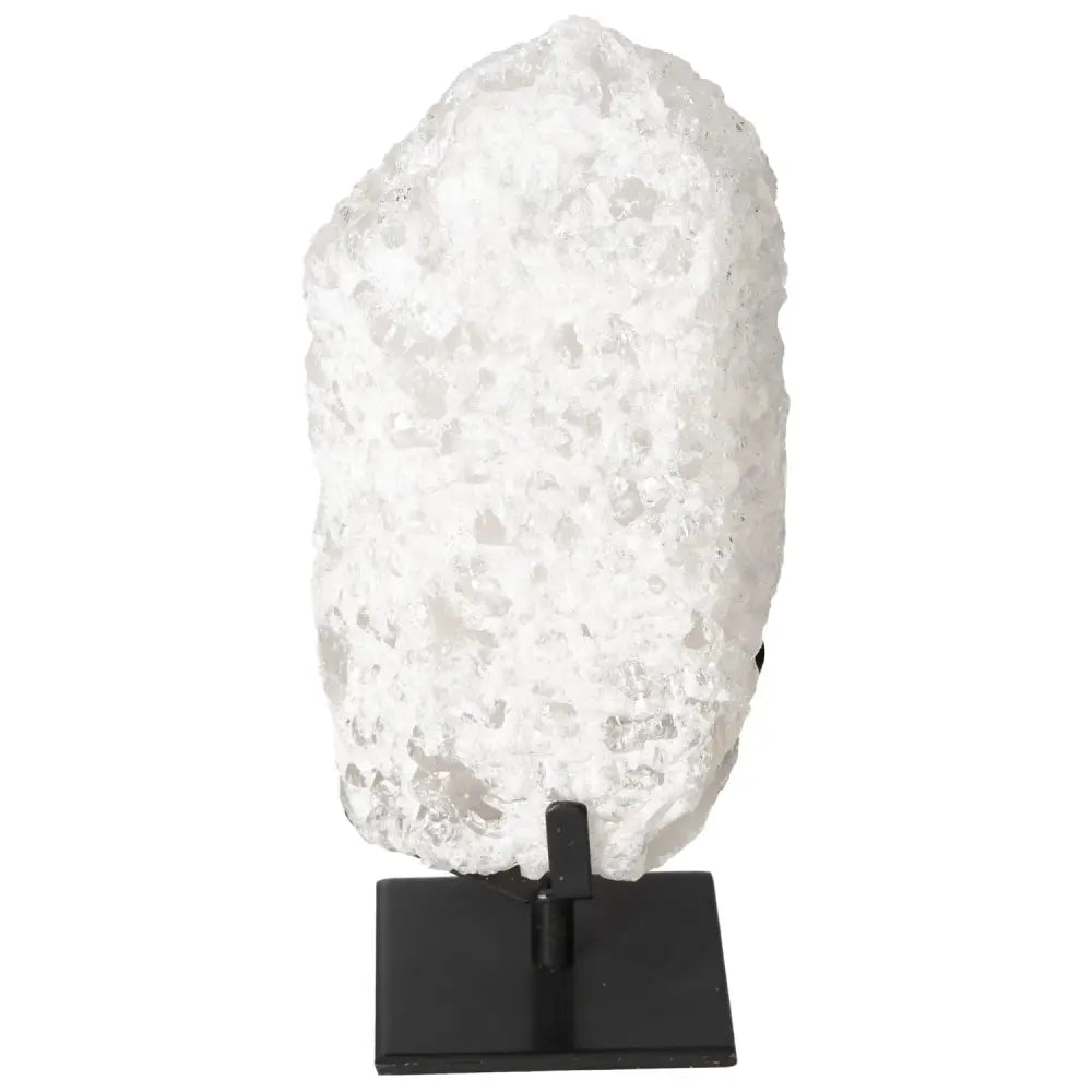 orbitvu|type:image2d