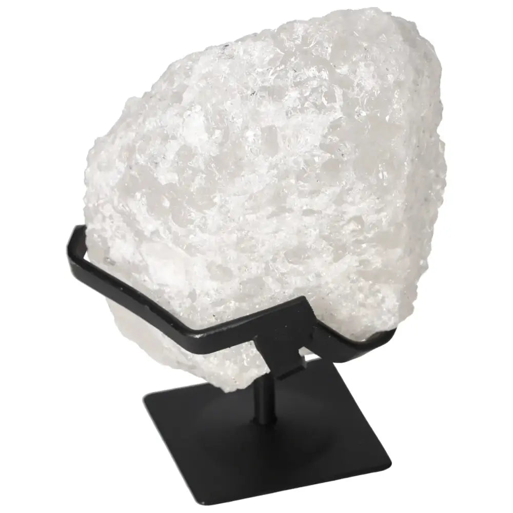 orbitvu|type:image2d