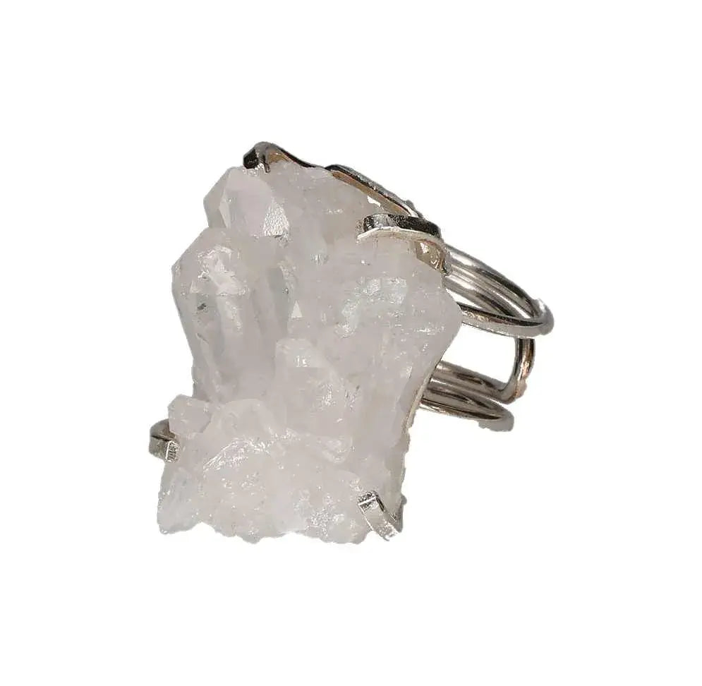 orbitvu|type:image2d