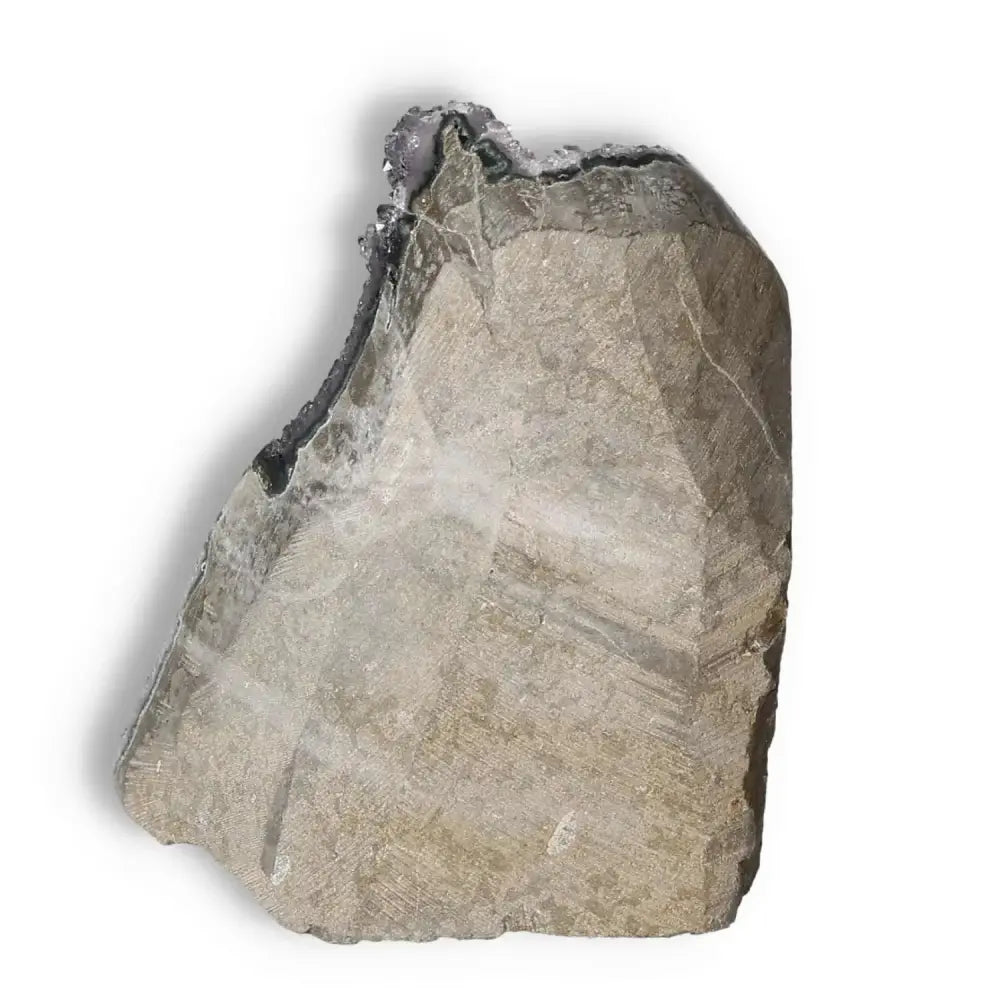 orbitvu|type:image2d