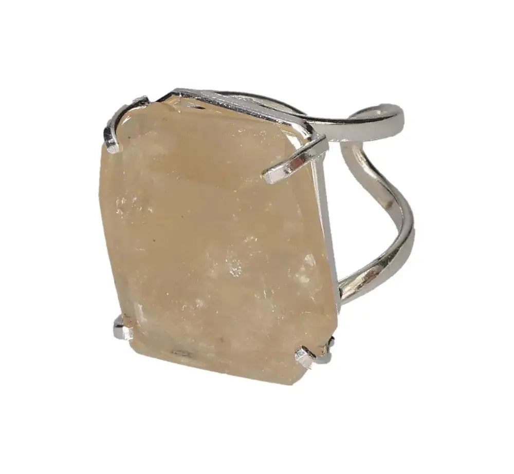 orbitvu|type:image2d