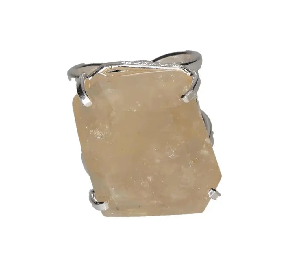 orbitvu|type:image2d