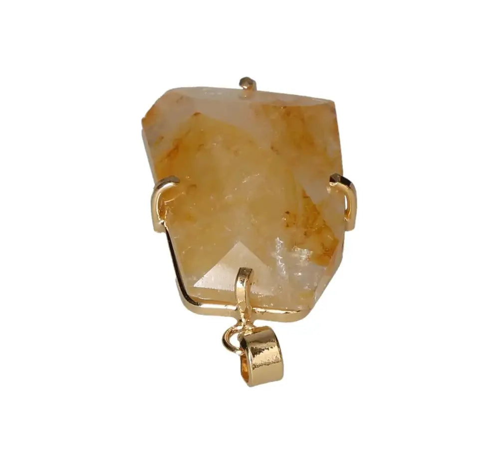 orbitvu|type:image2d