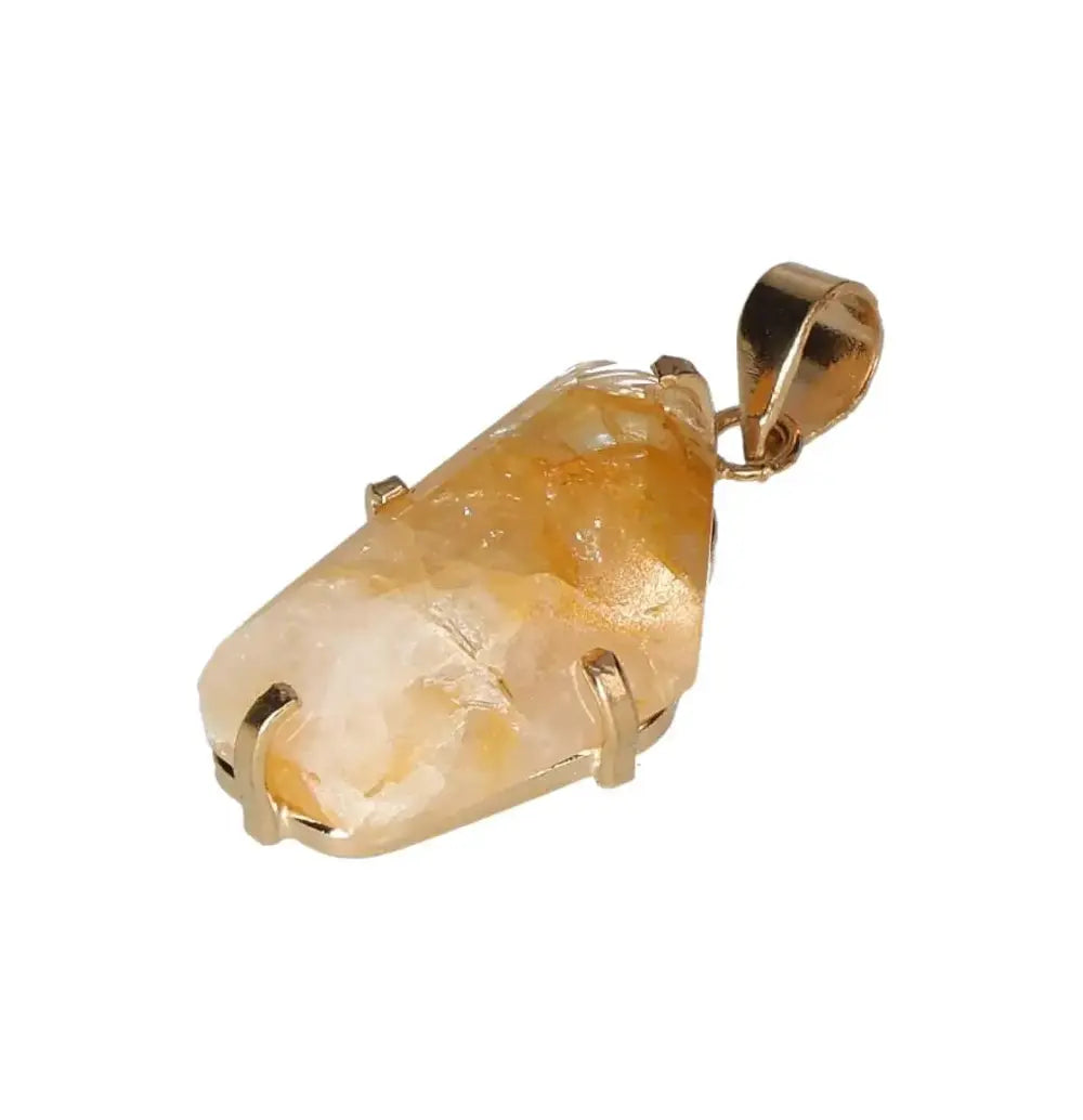 orbitvu|type:image2d