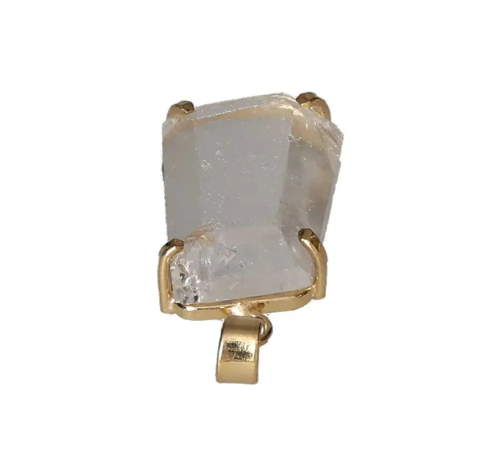 orbitvu|type:image2d