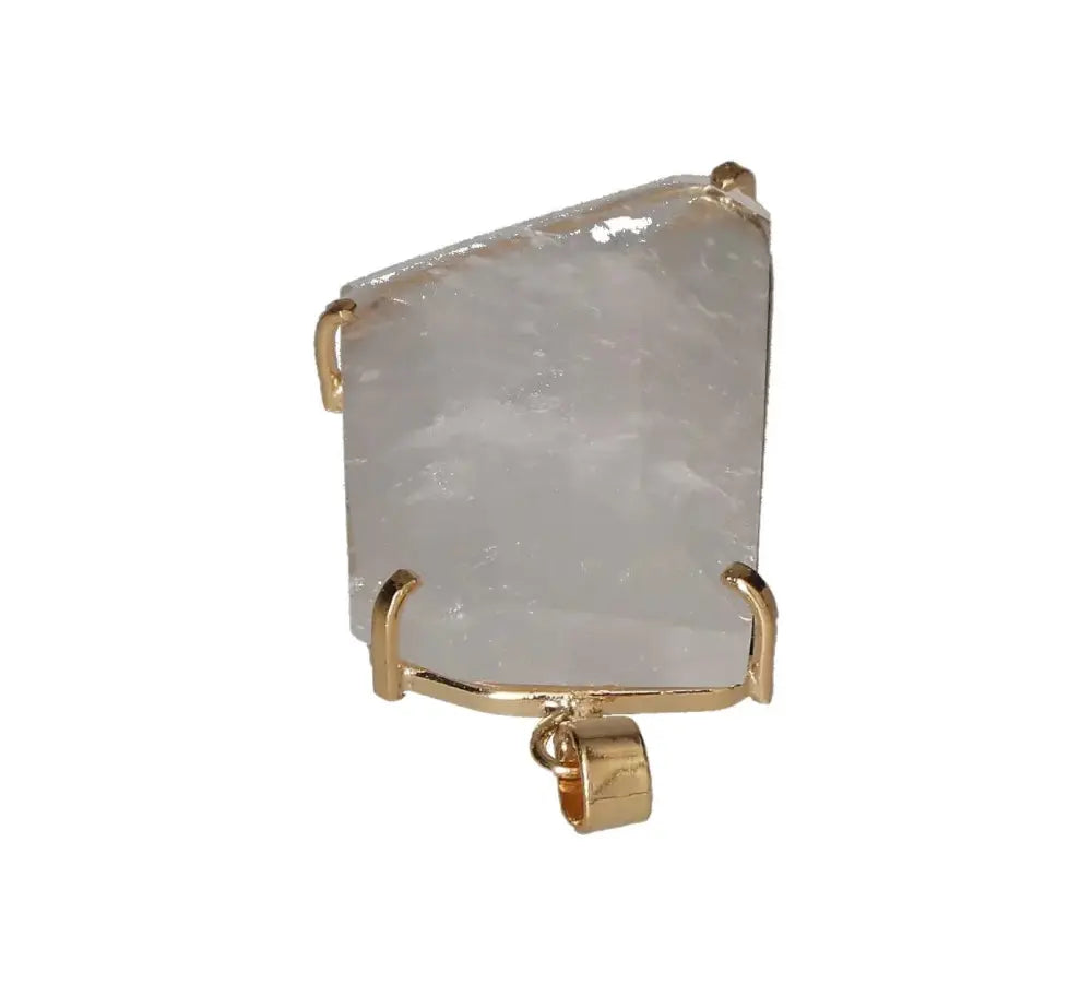 orbitvu|type:image2d