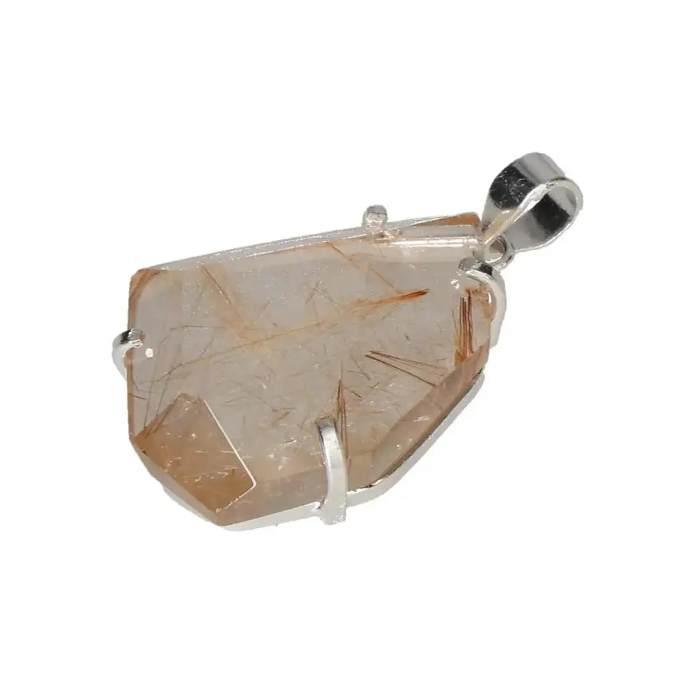 orbitvu|type:image2d