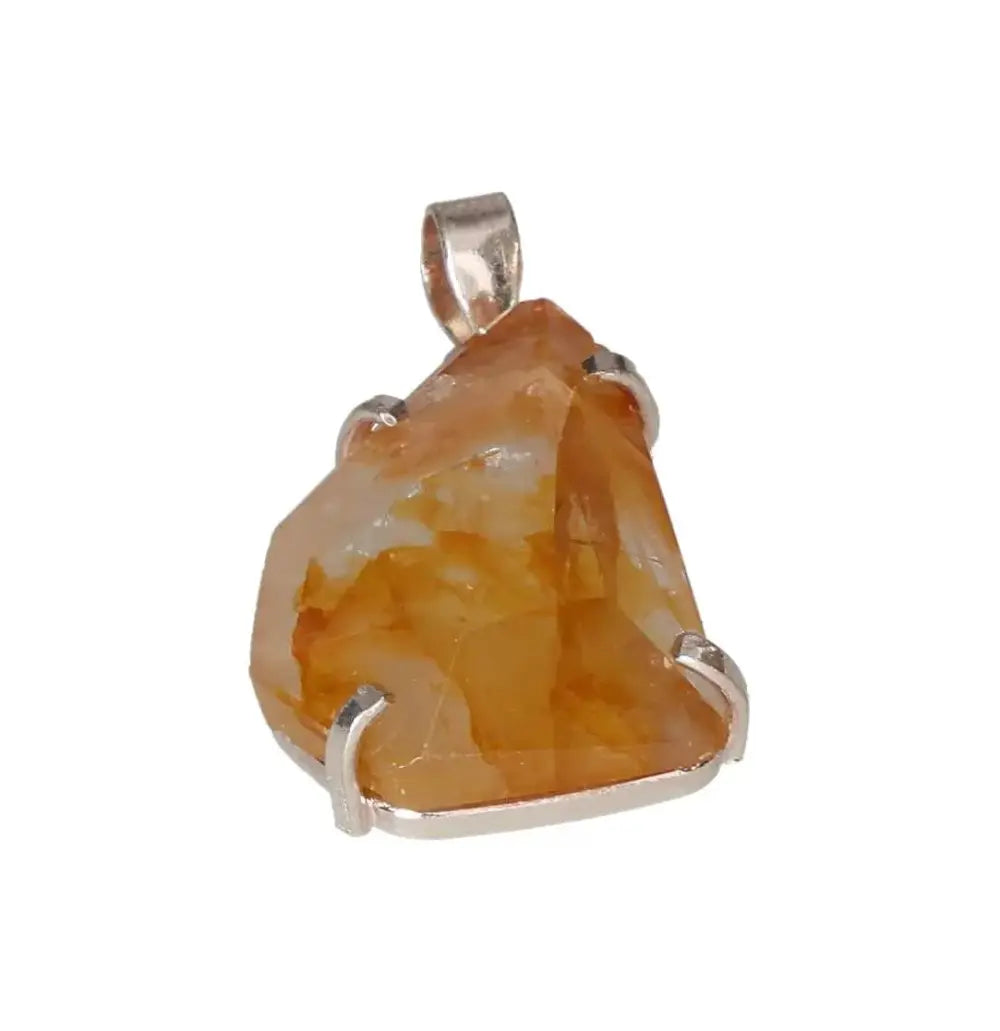 orbitvu|type:image2d