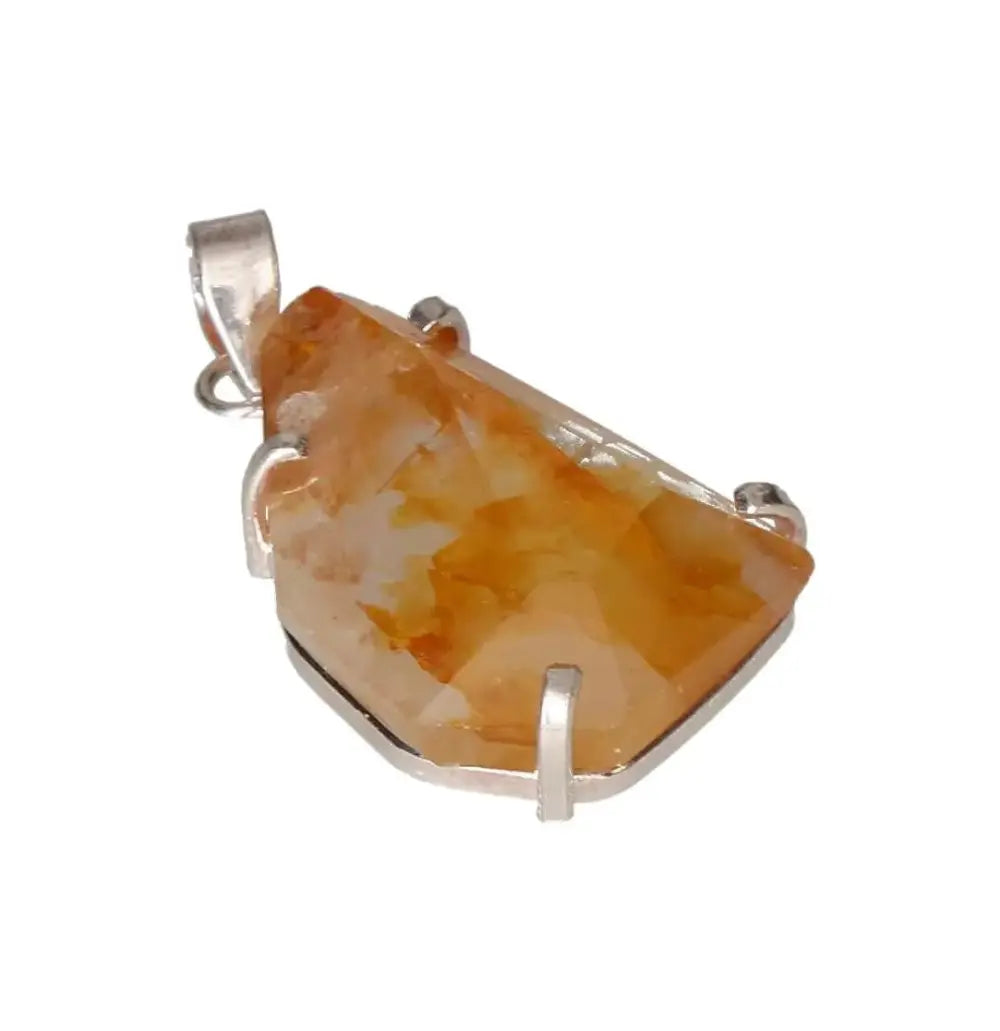 orbitvu|type:image2d