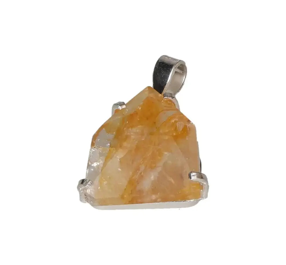 orbitvu|type:image2d