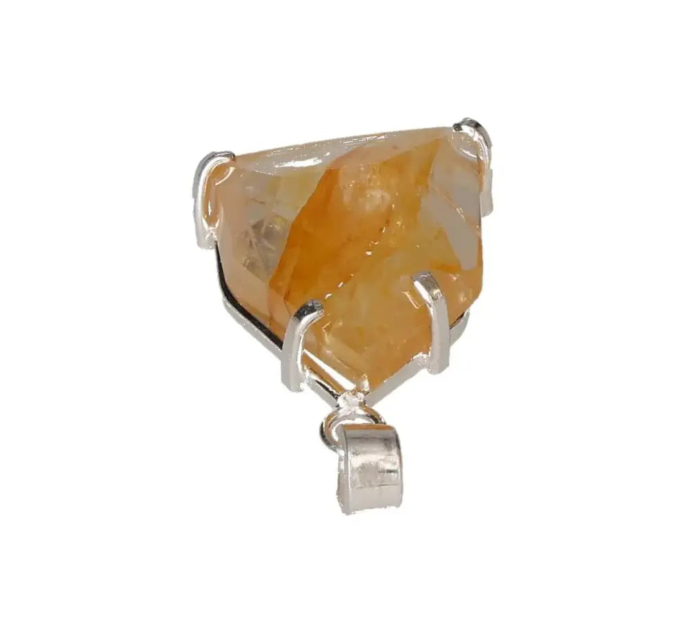 orbitvu|type:image2d