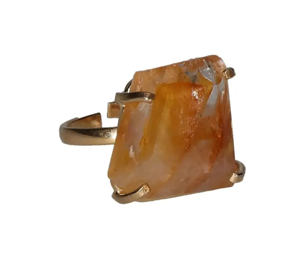 orbitvu|type:image2d