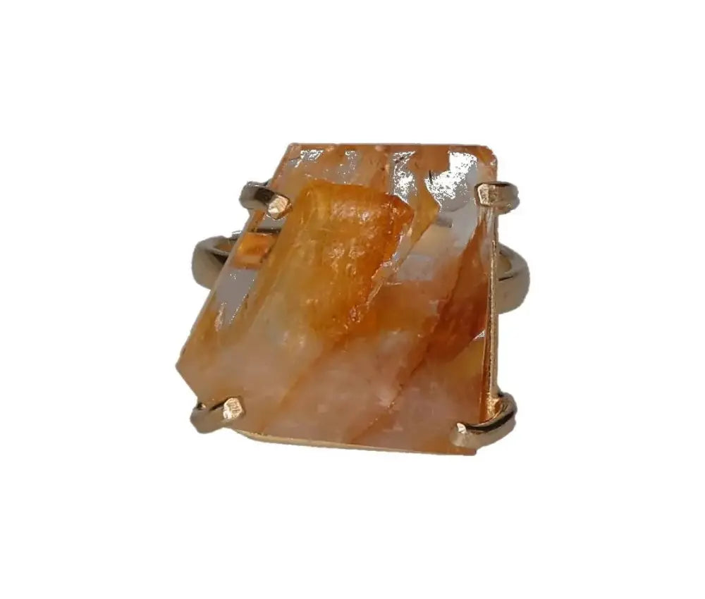 orbitvu|type:image2d