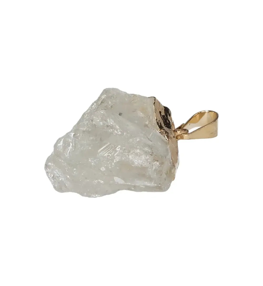 orbitvu|type:image2d