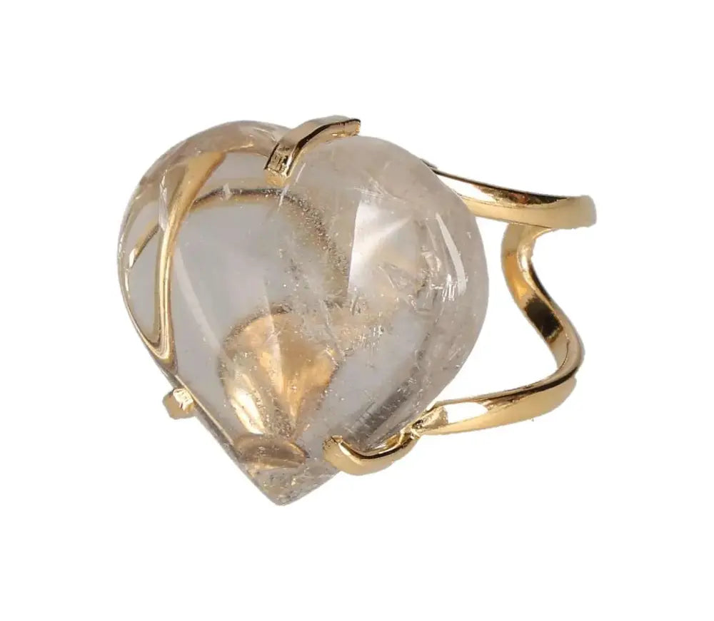 orbitvu|type:image2d