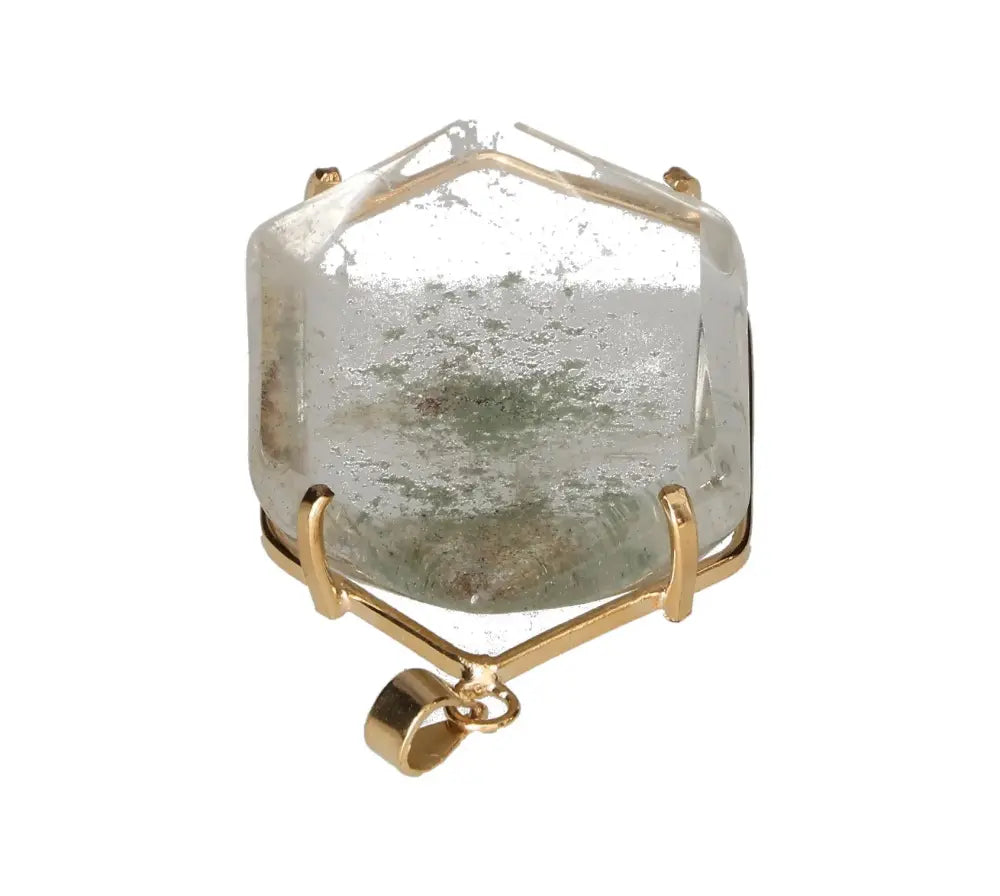 orbitvu|type:image2d